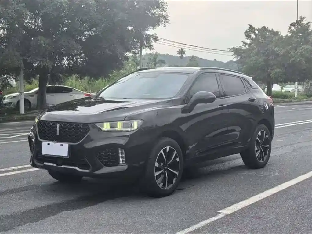 Wey Wey VV5 2019