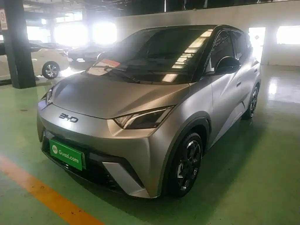 BYD Seagull 2025 305km Freedom
