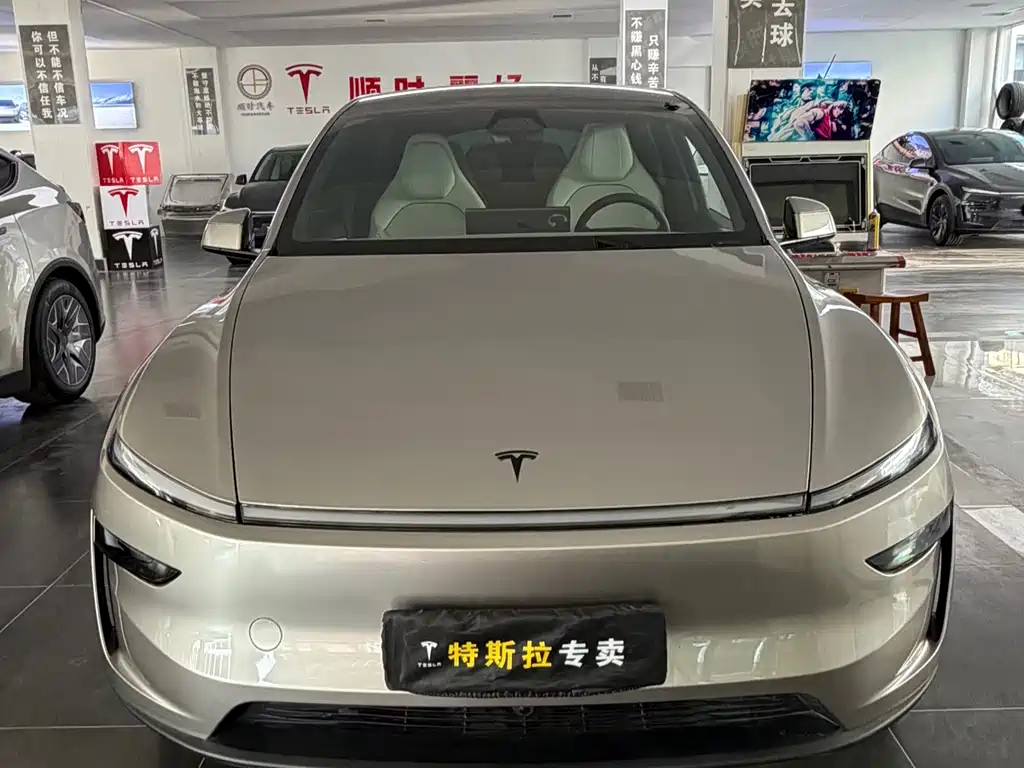 Tesla Model Y L — миниатюра 2