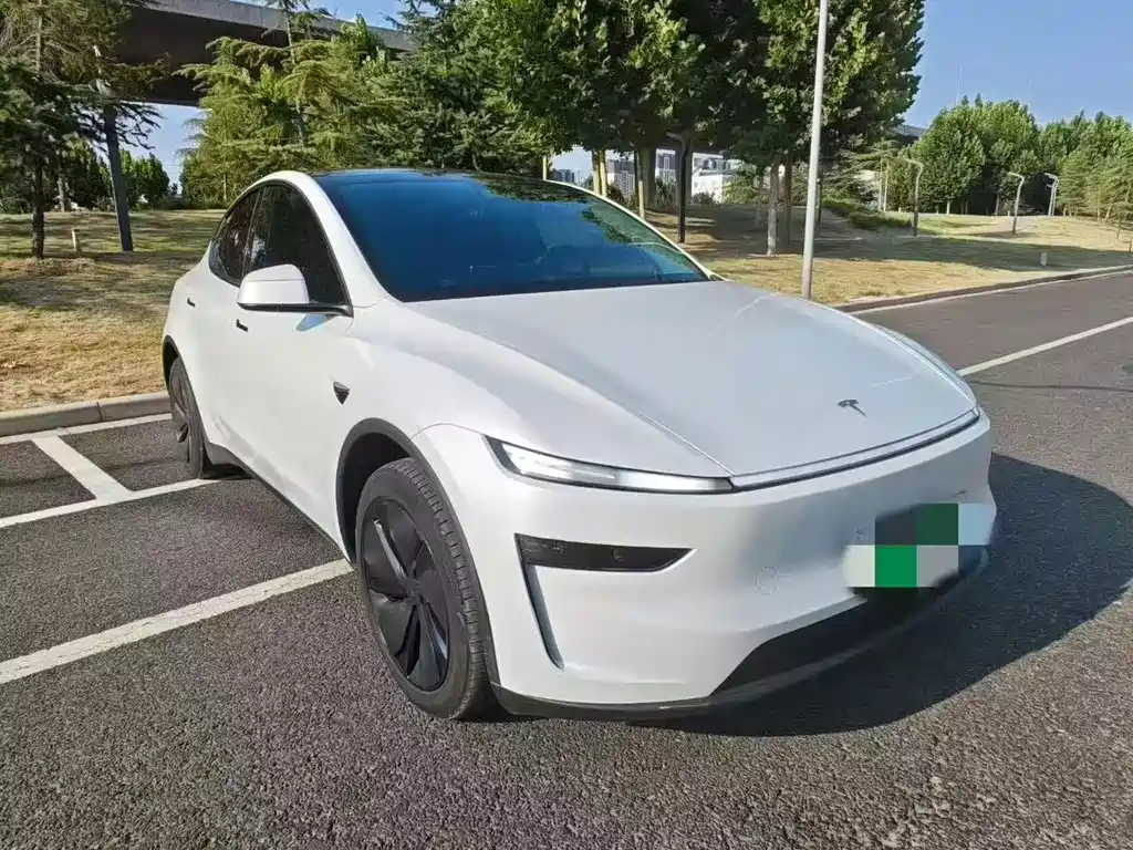 Tesla Model Y — миниатюра 3