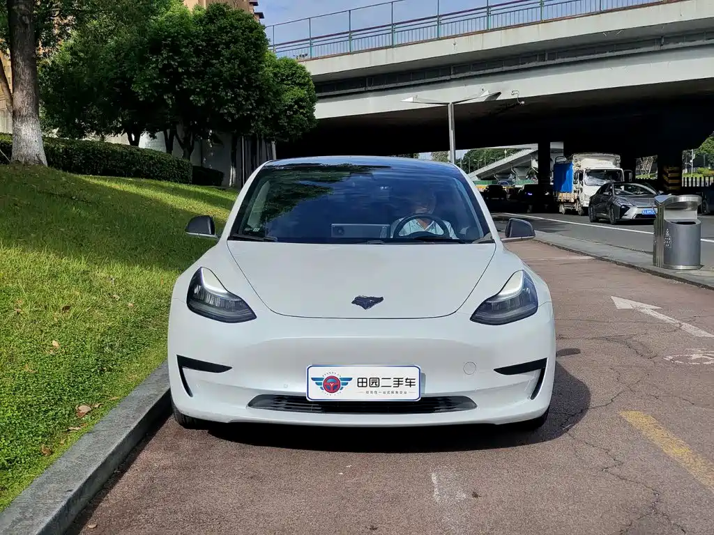 Tesla Model 3 — миниатюра 2