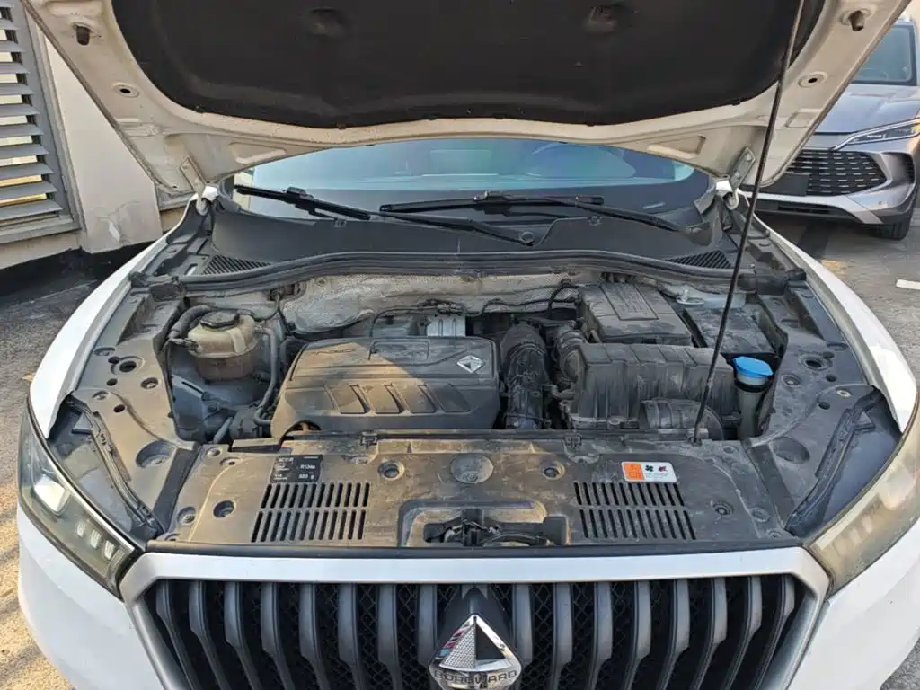 Borgward BX5 — миниатюра 11