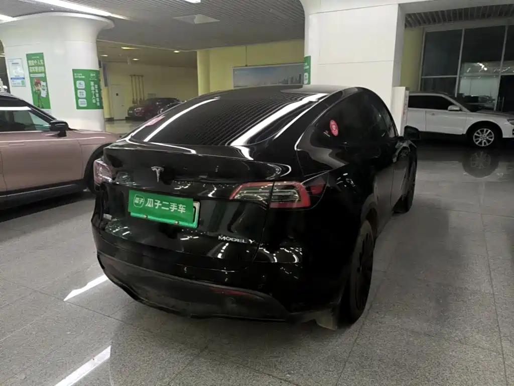 Tesla Model Y — миниатюра 7