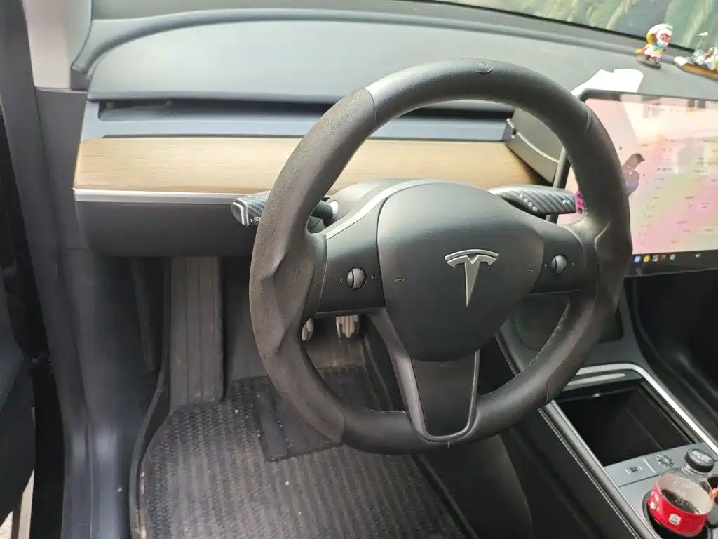 Tesla Model Y — миниатюра 12