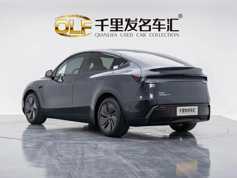 Tesla Model Y — миниатюра 8