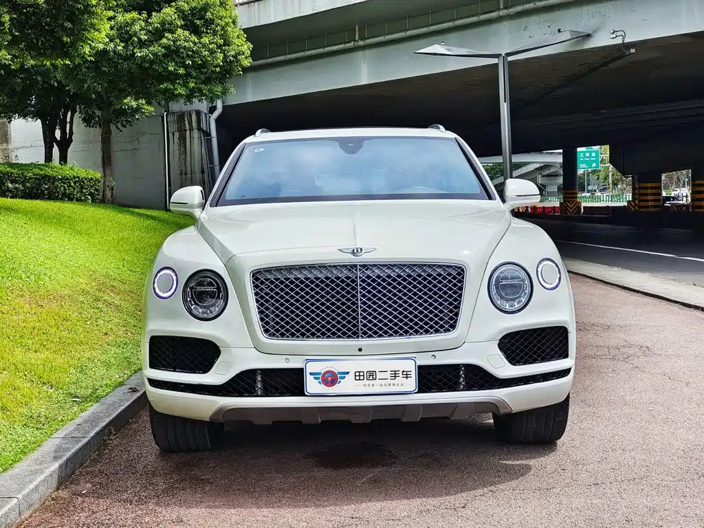 Bentley Bentayga 6.0T Standard Edition, фото 2
