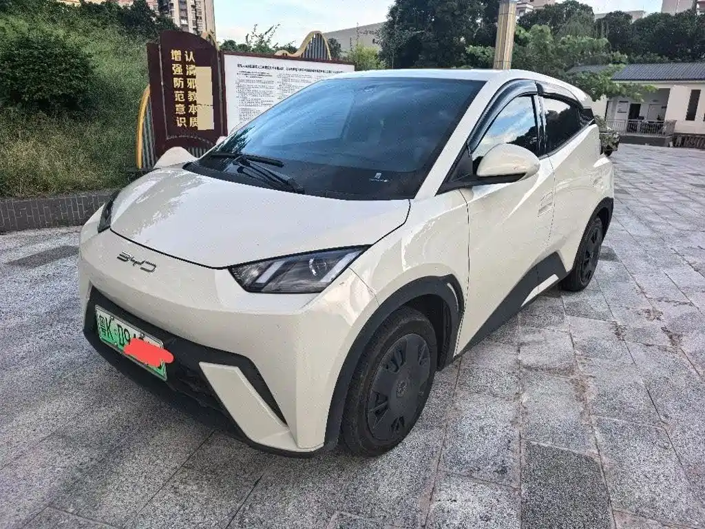 BYD Seagull