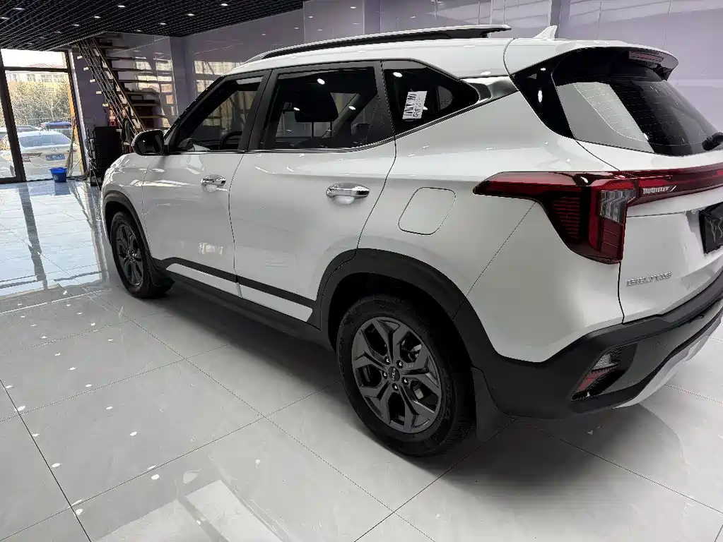 KIA SETUS