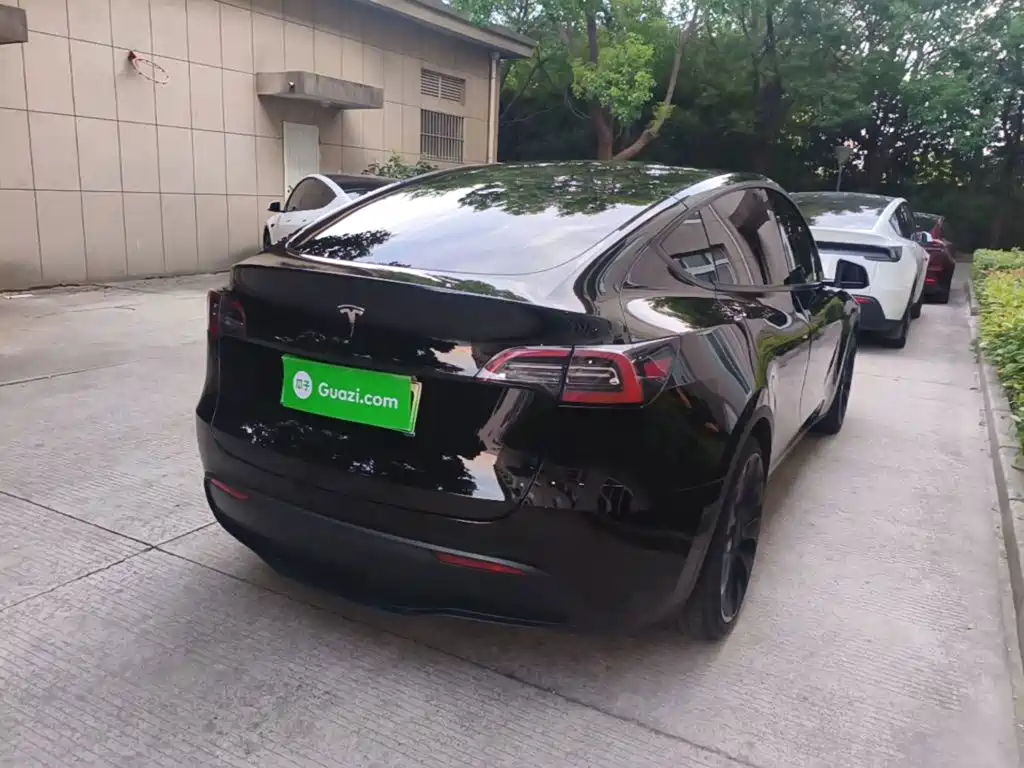 Tesla Model Y — миниатюра 7