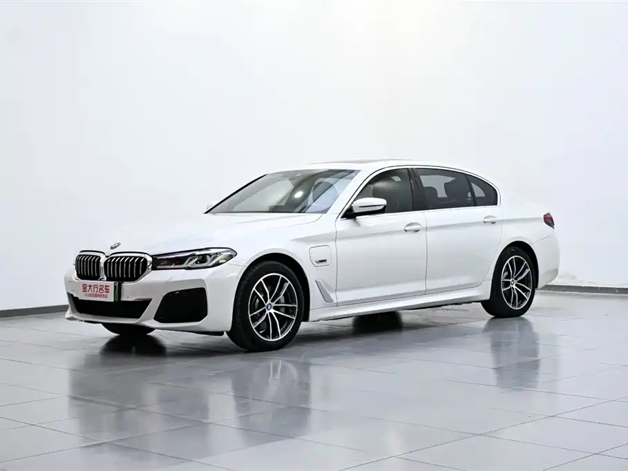 BMW 5 SERIES NEW ENERGY