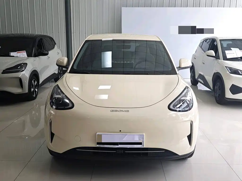 Geely Geome Xingyuan 2025 310km