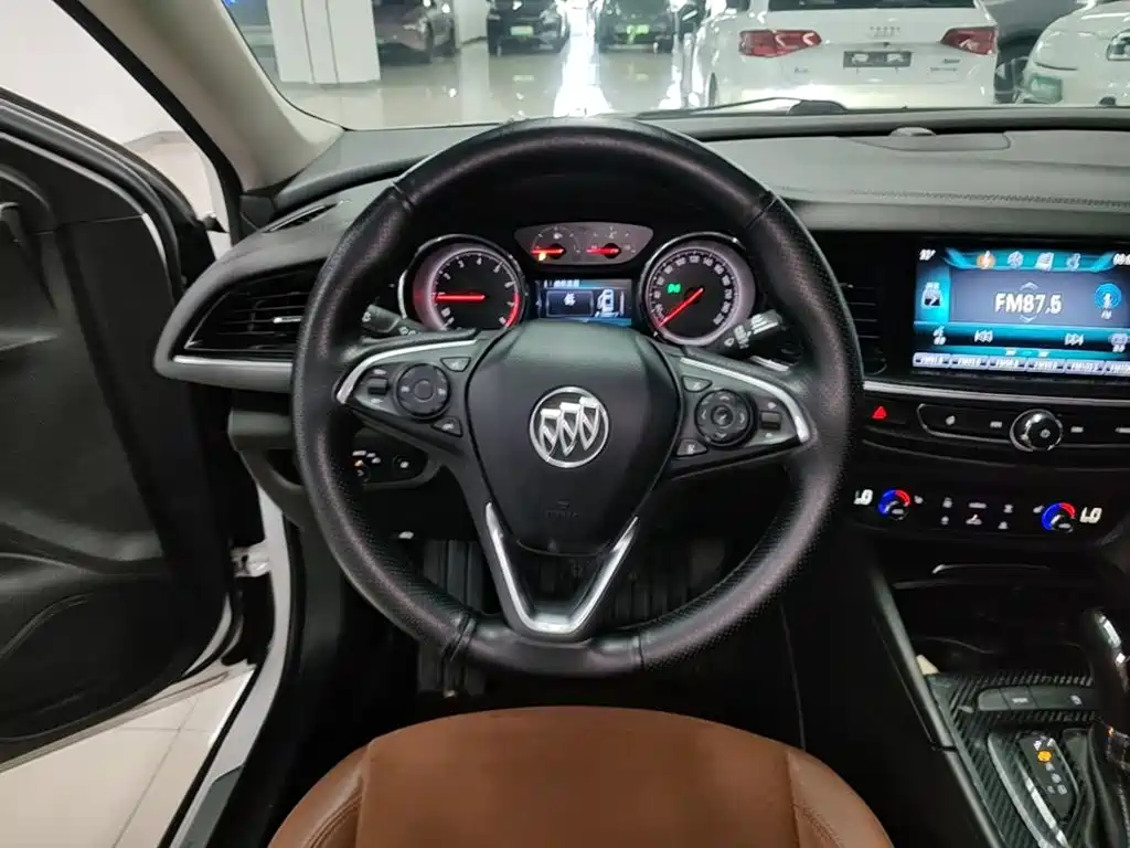 Buick Regal — миниатюра 11