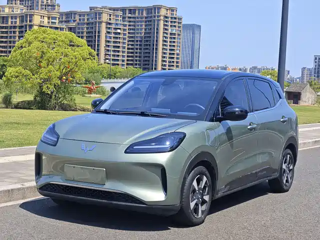 2024 Wuling Motors Binguo