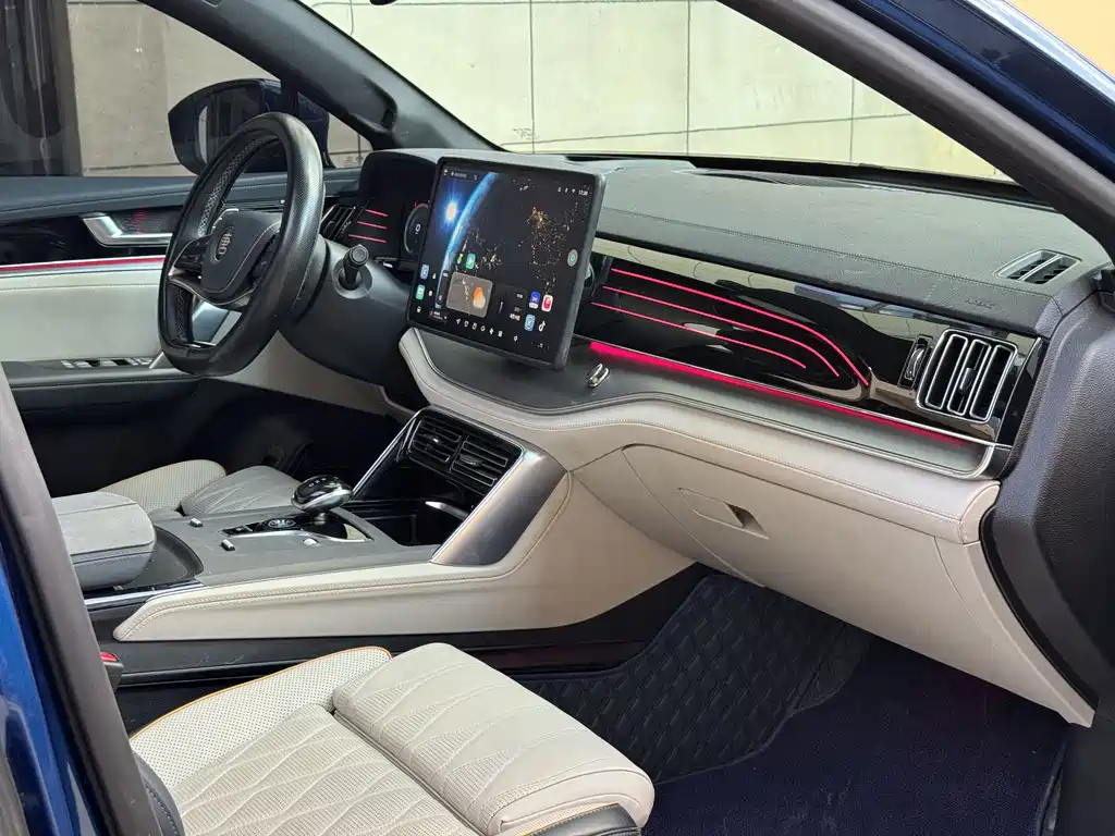 BYD Tang New Energy — миниатюра 16