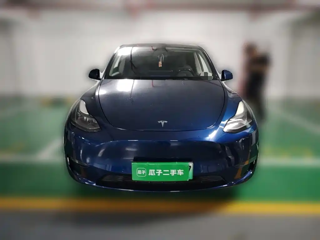 Tesla Model Y — миниатюра 23