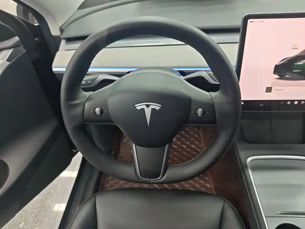 Tesla Model Y — миниатюра 11
