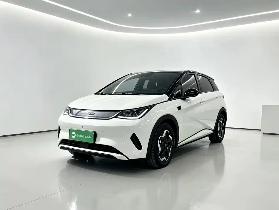 BYD Dolphin — миниатюра 2