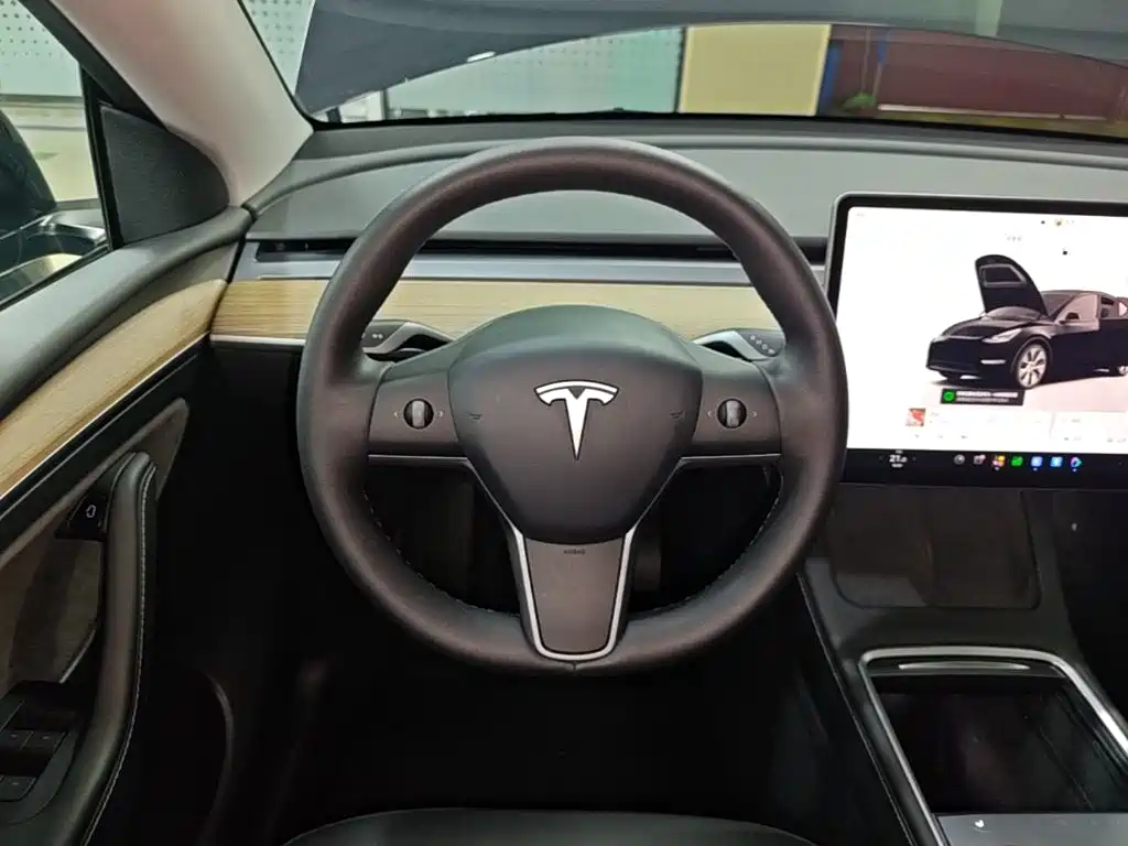 Tesla Model Y — миниатюра 11