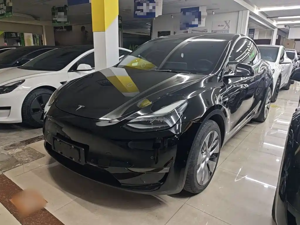 Tesla Model Y — миниатюра 2