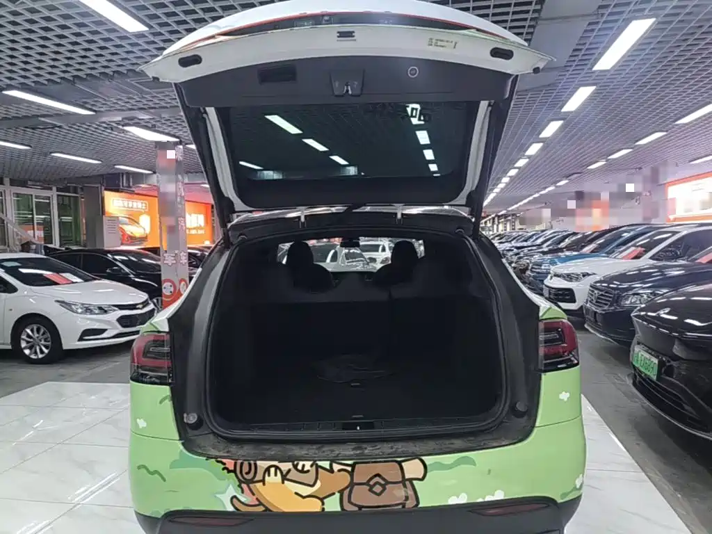 Tesla Model X — миниатюра 19