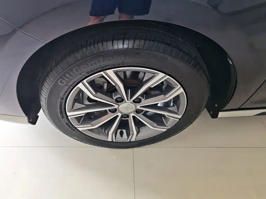 BYD MAX — миниатюра 23