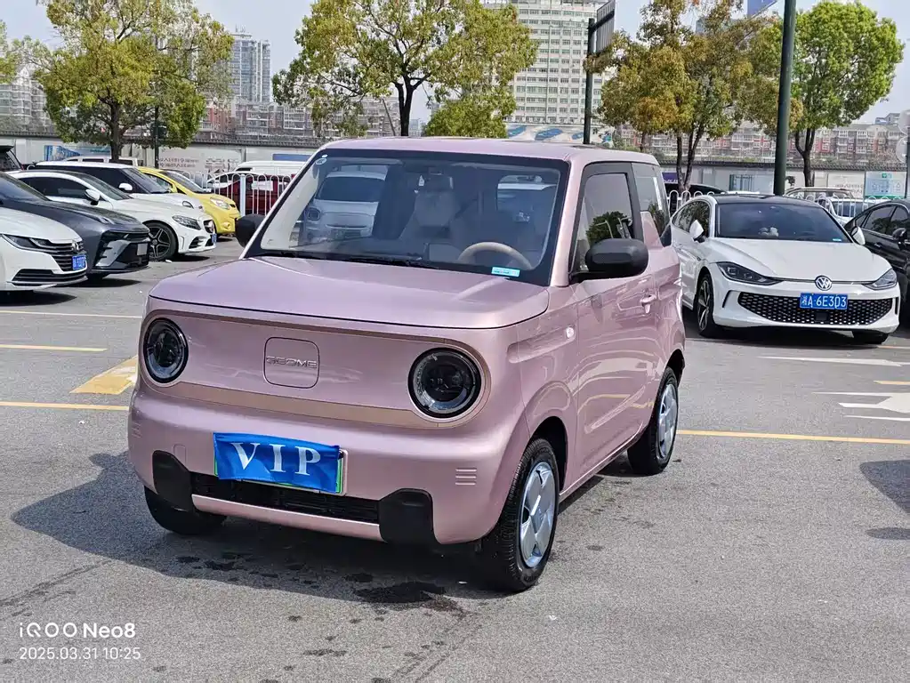 Galaxy Panda