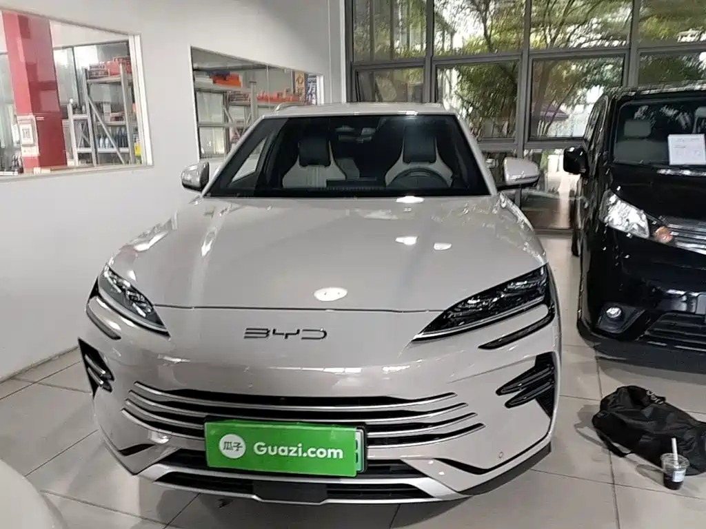 BYD PLUS New Energy — миниатюра 3