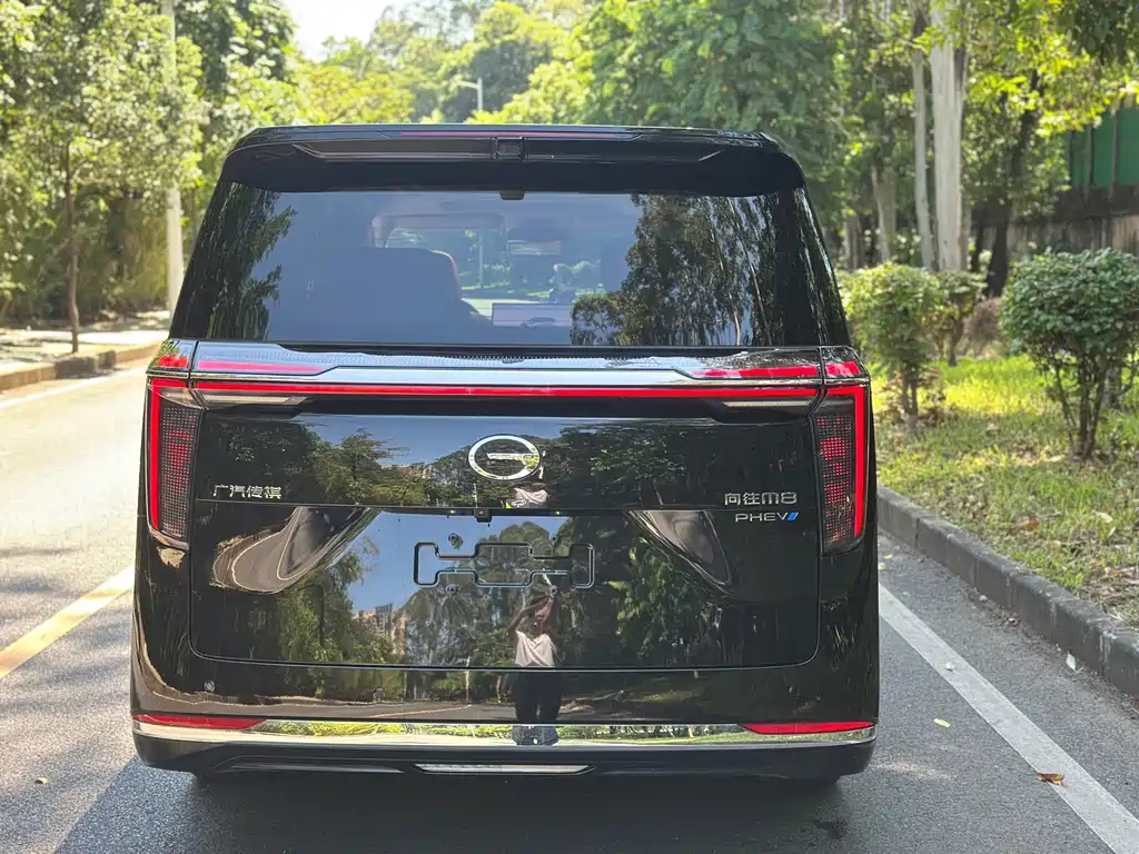 GAC Motor Trumpchi Xiangwang M8 — миниатюра 4