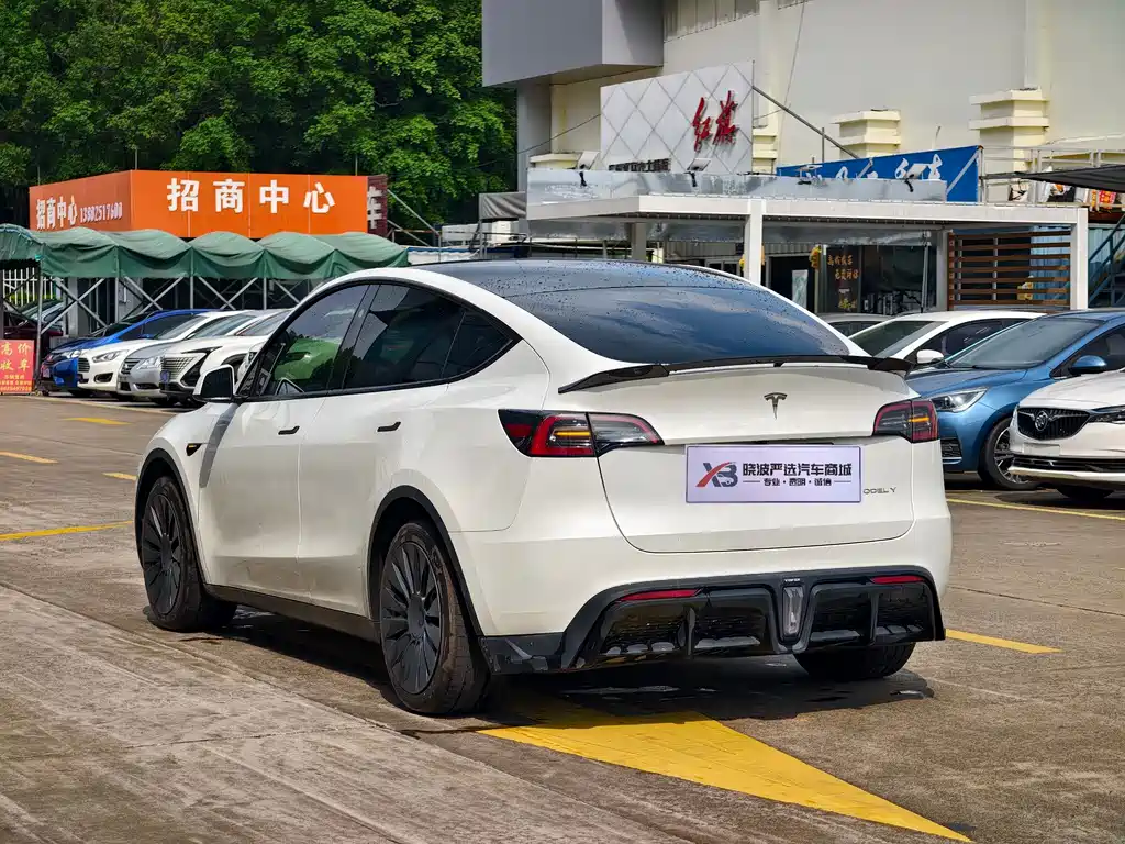 Tesla Model Y — миниатюра 5