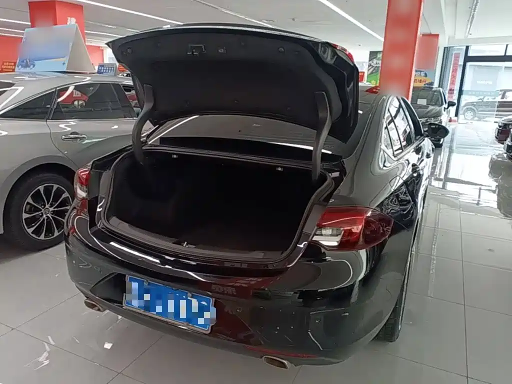 Buick Regal — миниатюра 19