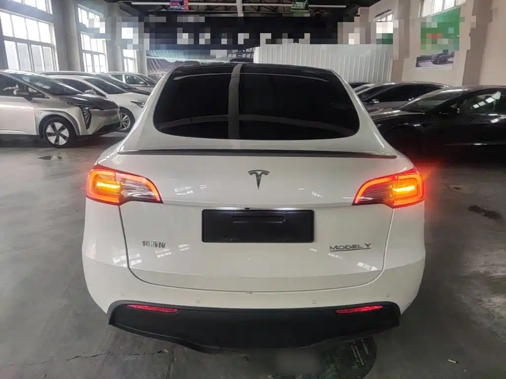 Tesla Model Y — миниатюра 6