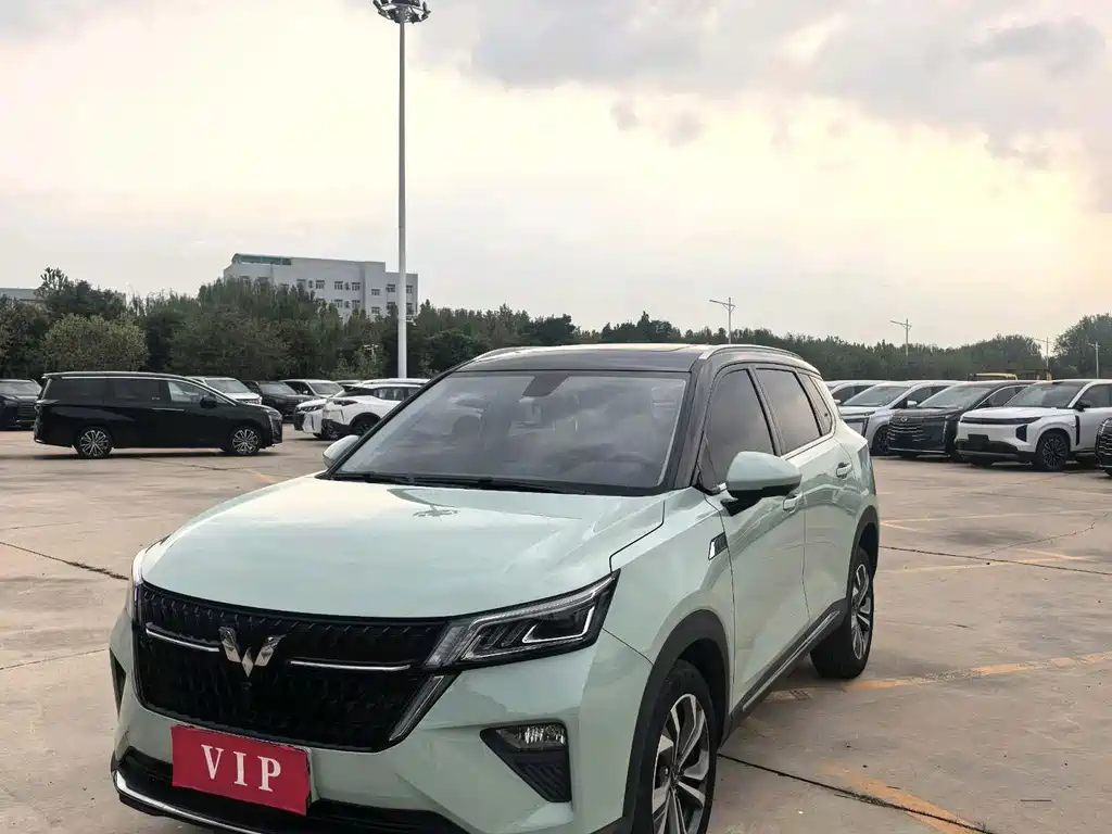 WULING AUTOMOBILE WULING XINGCHEN