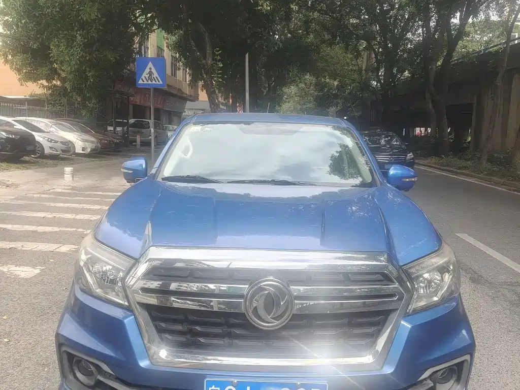Dongfeng Rich 2019