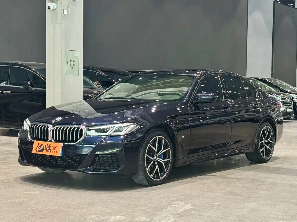 BMW 5 Series (Import) 2021
