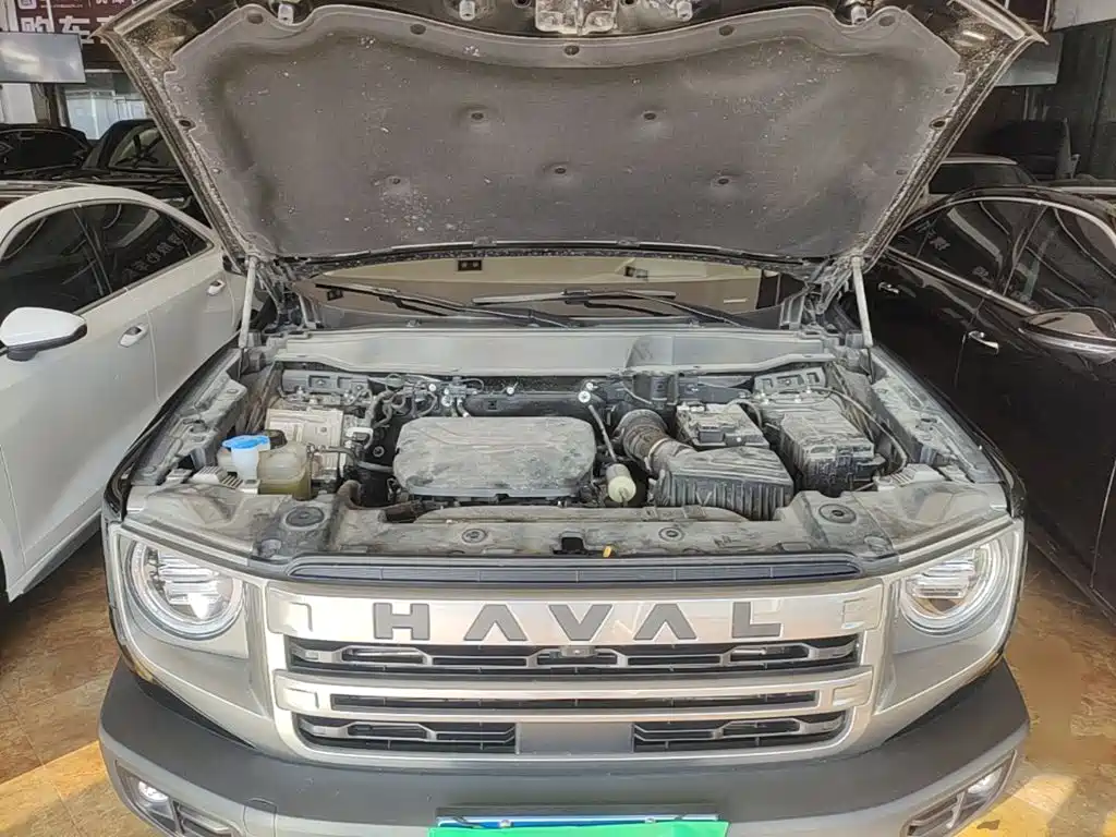 Haval Big Dog — миниатюра 20