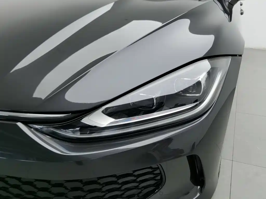 Volkswagen Lamando — миниатюра 7
