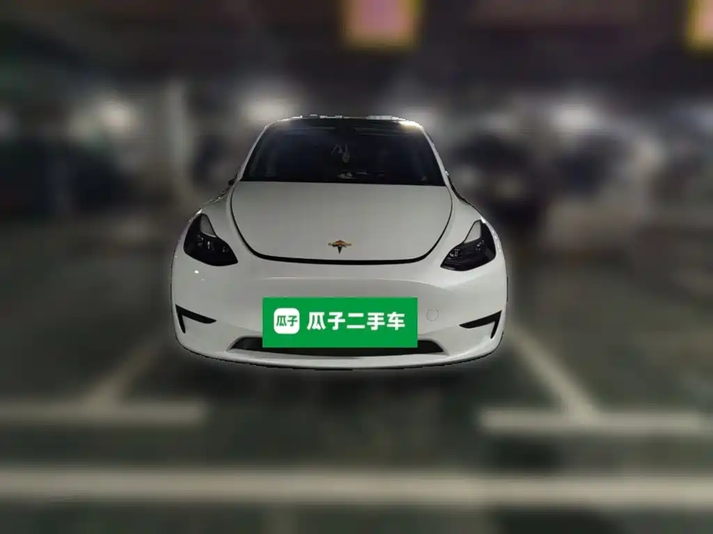 Tesla Model Y — миниатюра 23
