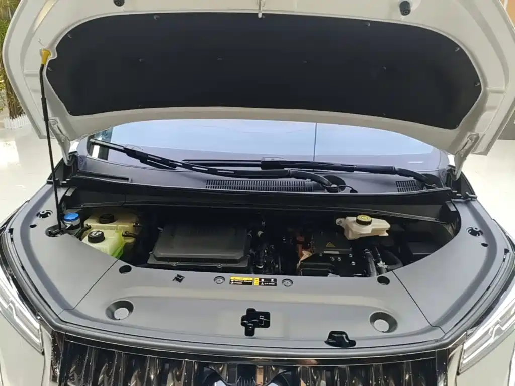 GAC Motor Trumpchi E9 — миниатюра 20