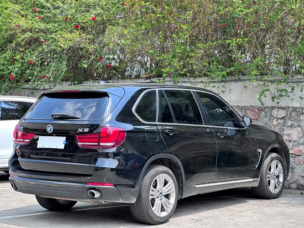 BMW X5 2014 xDrive35i Lead