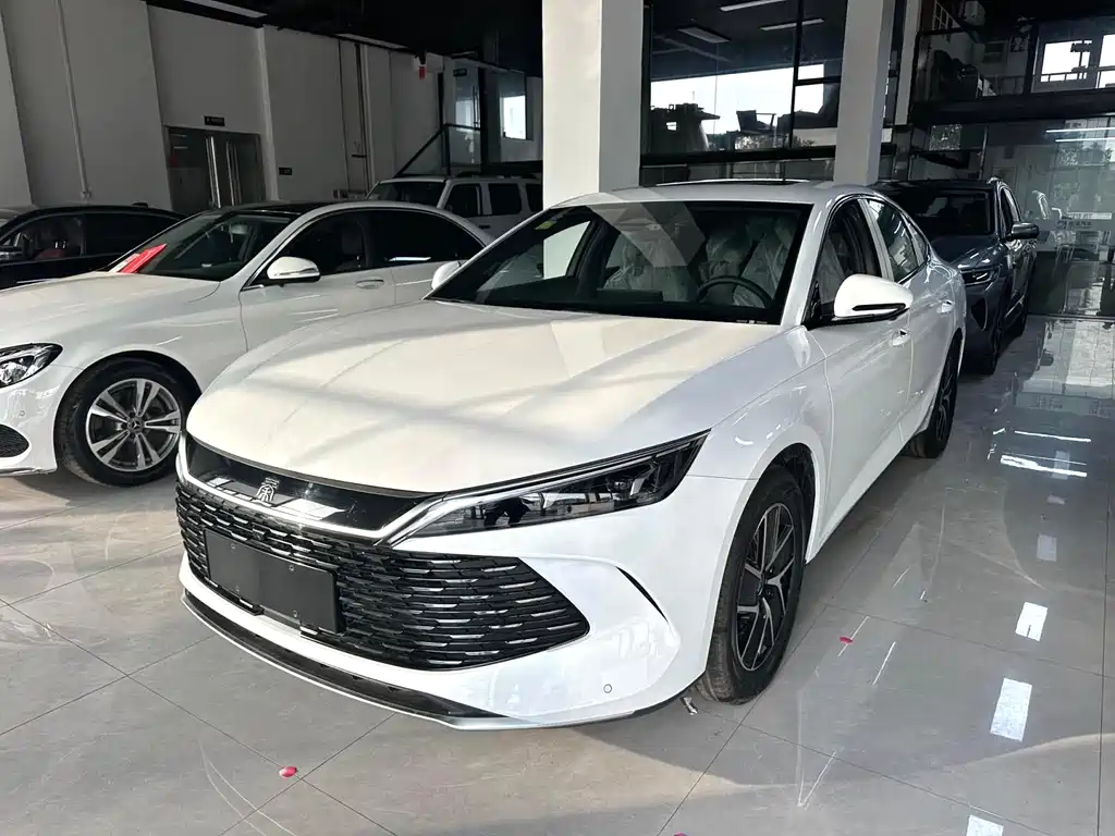 Byd Qin L 2025