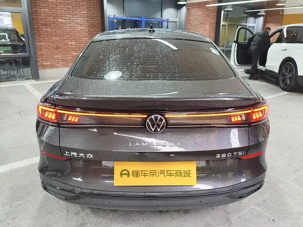 Volkswagen Lamando — миниатюра 8