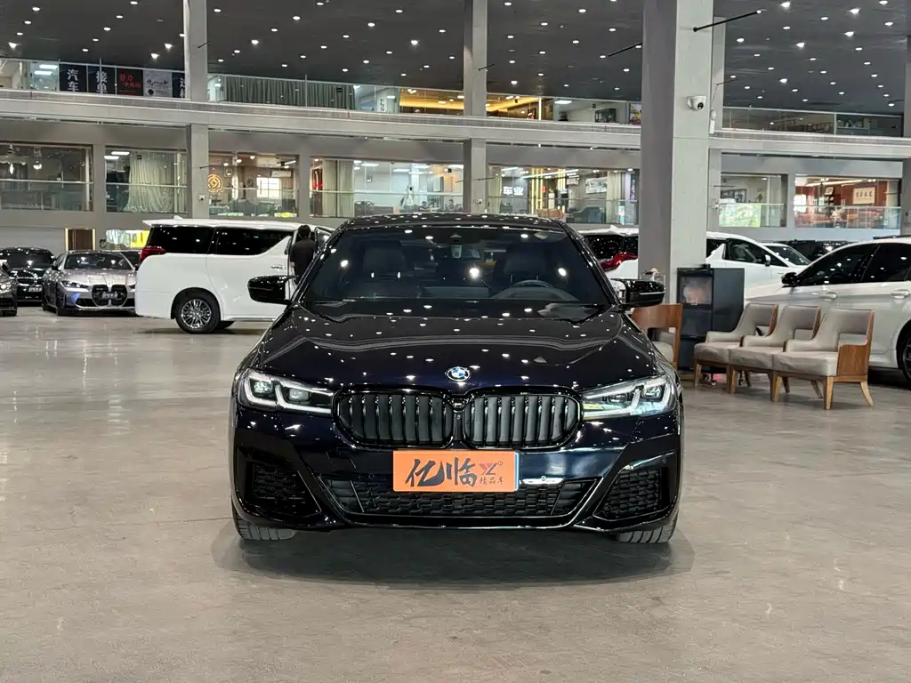 BMW 5 Series (Import) — миниатюра 2