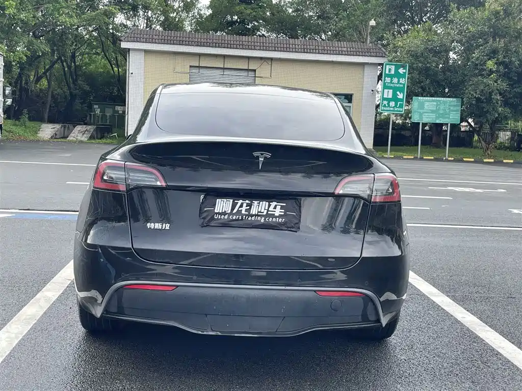 Tesla Model Y — миниатюра 8