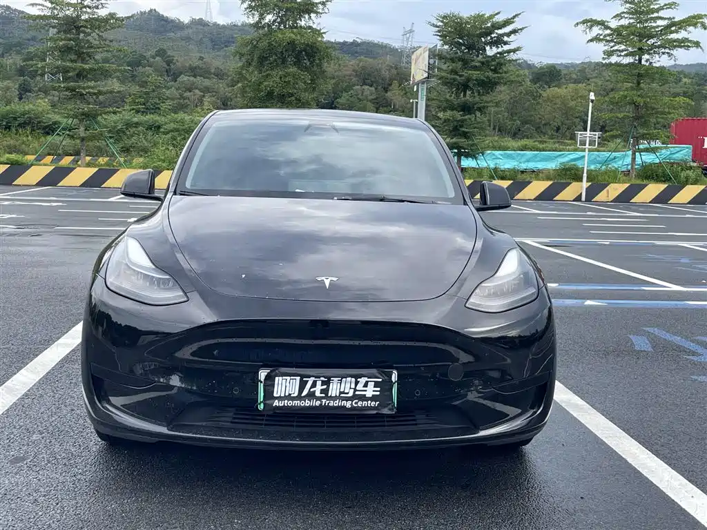 Tesla Model Y — миниатюра 2