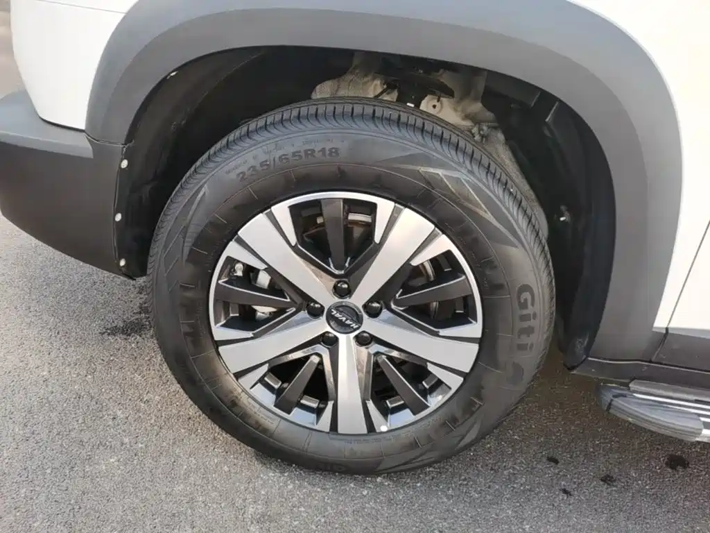 Haval Big Dog — миниатюра 23