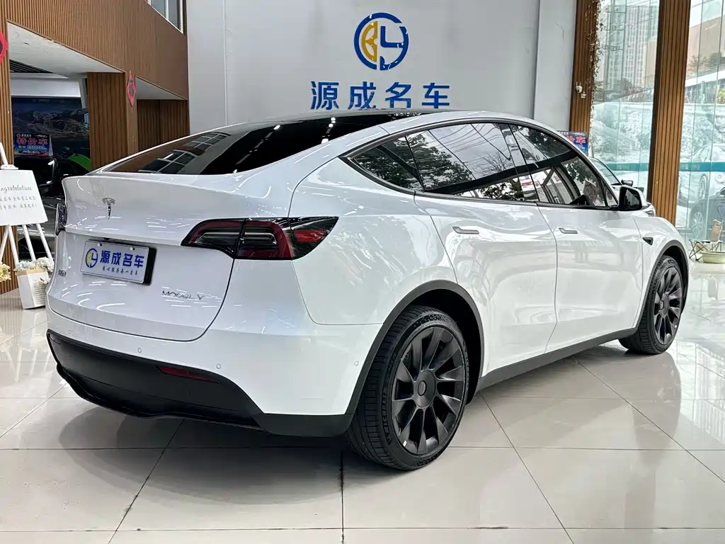 Tesla Model Y — миниатюра 6