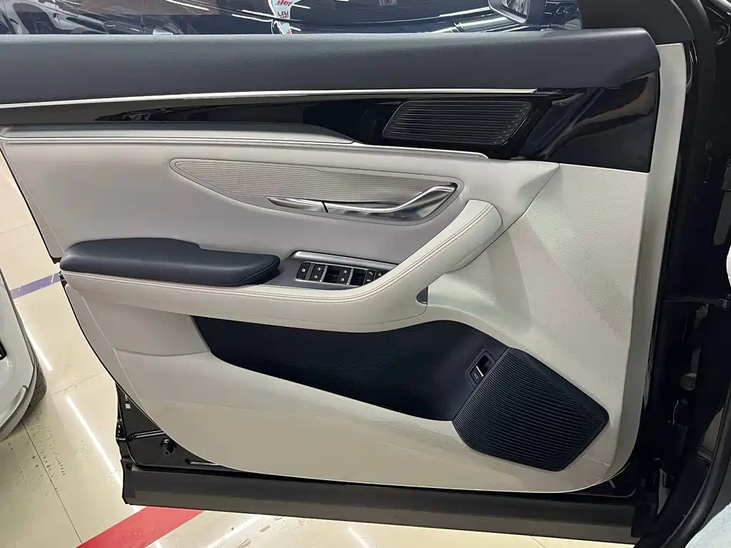 BYD PLUS New Energy — миниатюра 14
