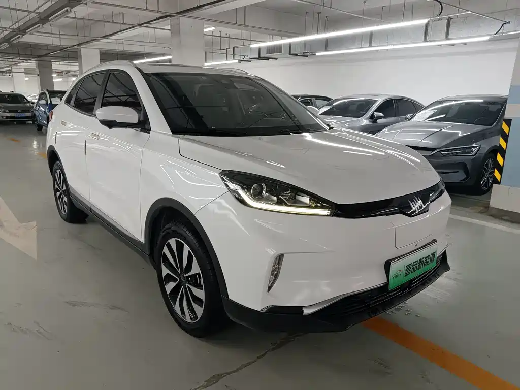 Weltmeister WEIMA EX5