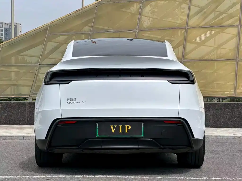 Tesla Model Y — миниатюра 8