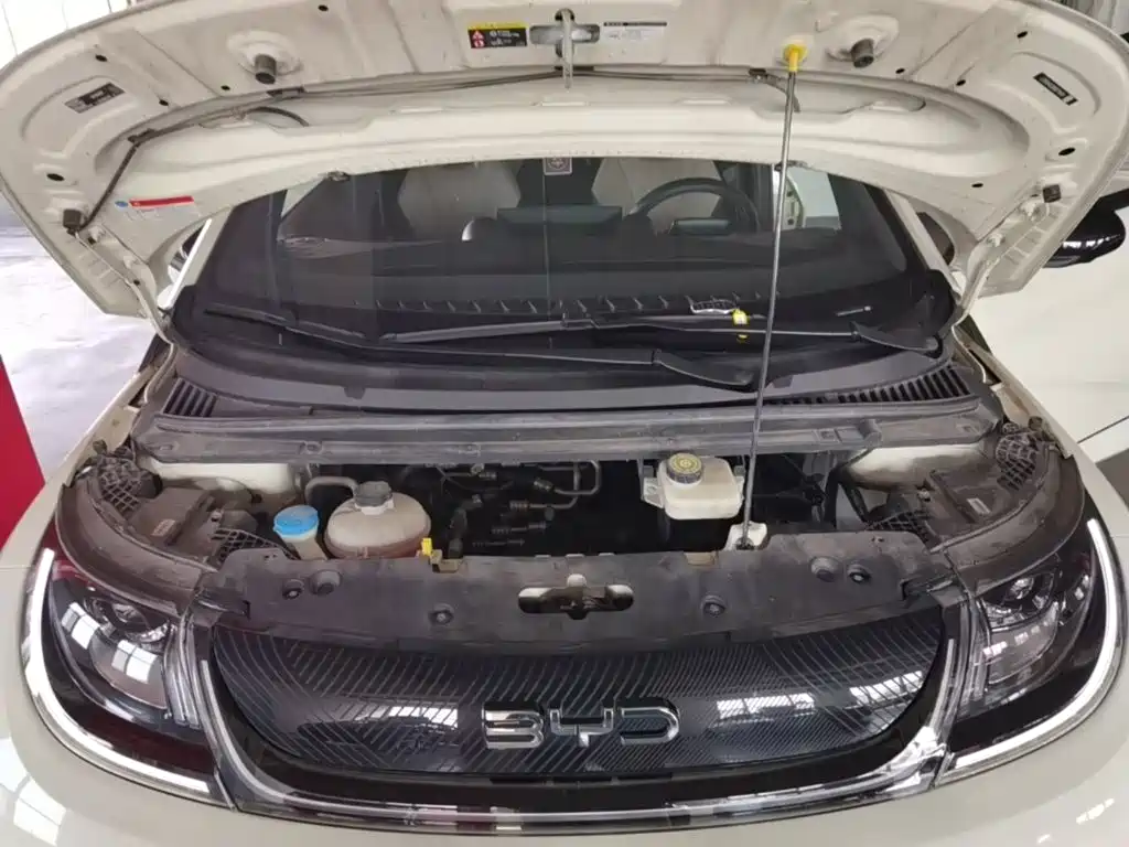 BYD Dolphin — миниатюра 20